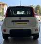 Fiat Panda Panda 1.2 Easy s Blanc - thumbnail 7