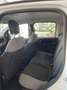 Fiat Panda Panda 1.2 Easy s Blanc - thumbnail 12