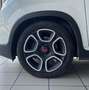 Fiat Panda Panda 1.2 Easy s Blanc - thumbnail 9