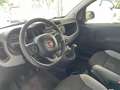 Fiat Panda Panda 1.2 Easy s Blanc - thumbnail 11