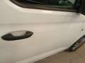 Volkswagen Caddy Cargo 2.0 TDI 90kW (122CV) 4MOTION Blanco - thumbnail 18