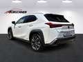 Lexus UX 250h Business 1.4kWh Aut. Alb - thumbnail 3