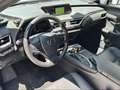 Lexus UX 250h Business 1.4kWh Aut. Alb - thumbnail 8
