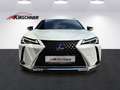 Lexus UX 250h Business 1.4kWh Aut. Alb - thumbnail 2