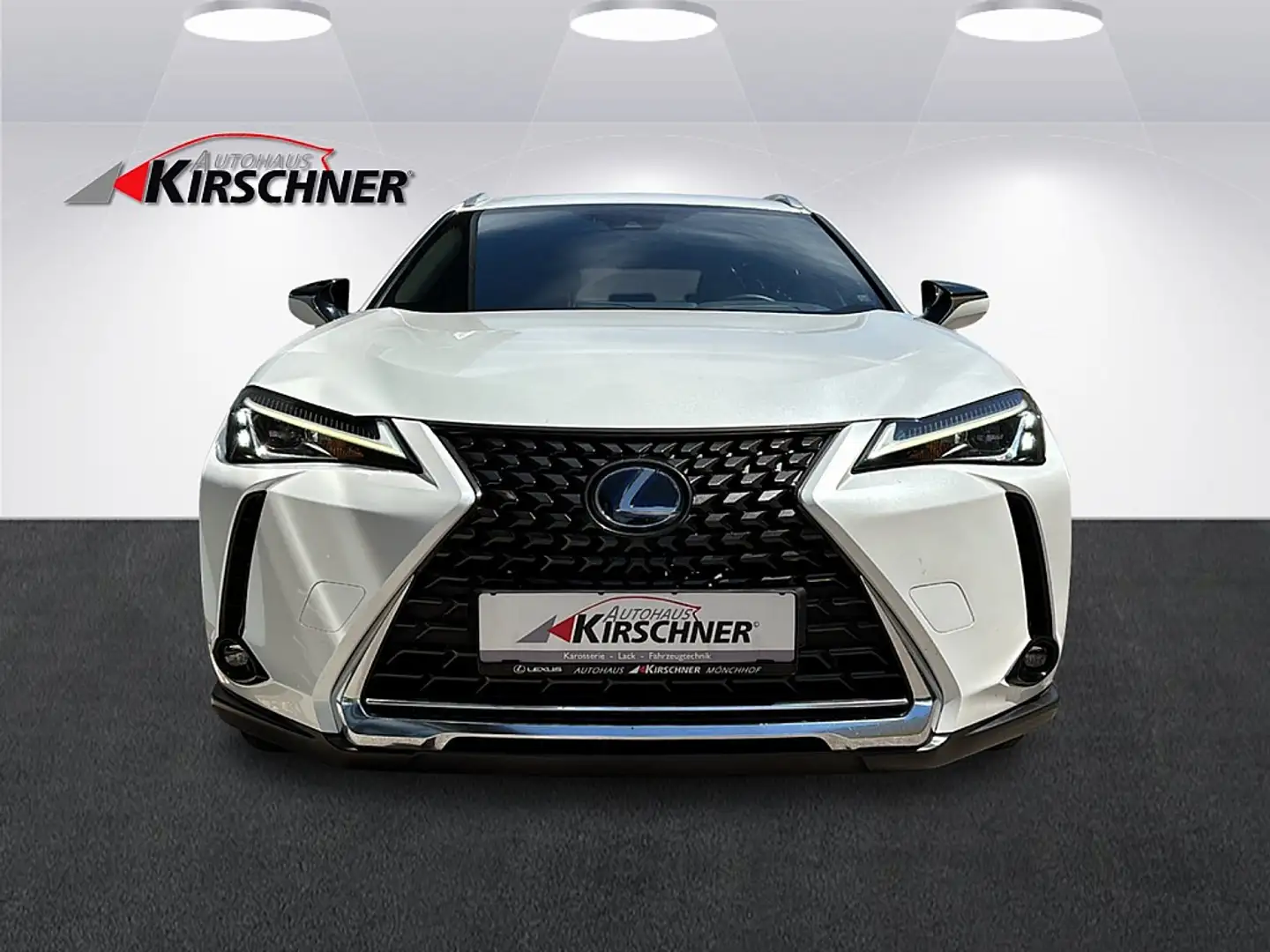 Lexus UX 250h Business 1.4kWh Aut. Alb - 2