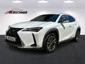 Lexus UX 250h Business 1.4kWh Aut. Alb - thumbnail 1