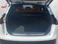 Xpeng G9 AWD Performance * MY24 * Premium Paket * AHK Blanc - thumbnail 23
