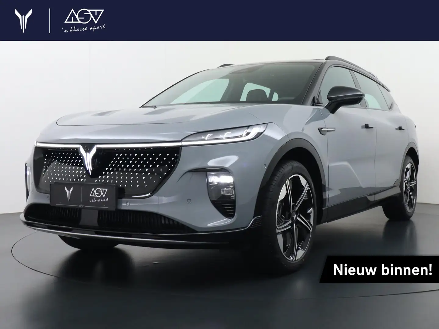 Voyah Courage Performance Edition AWD | Pano dak | Navig Grijs - 1