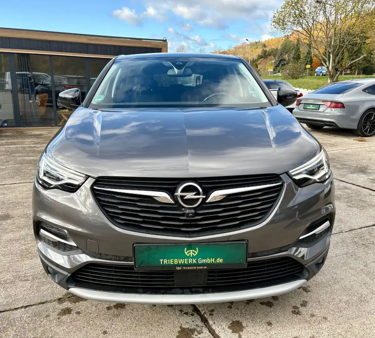 Opel Grandland X Innovation Kamera AHK Navi Tüv neu Grau - 2