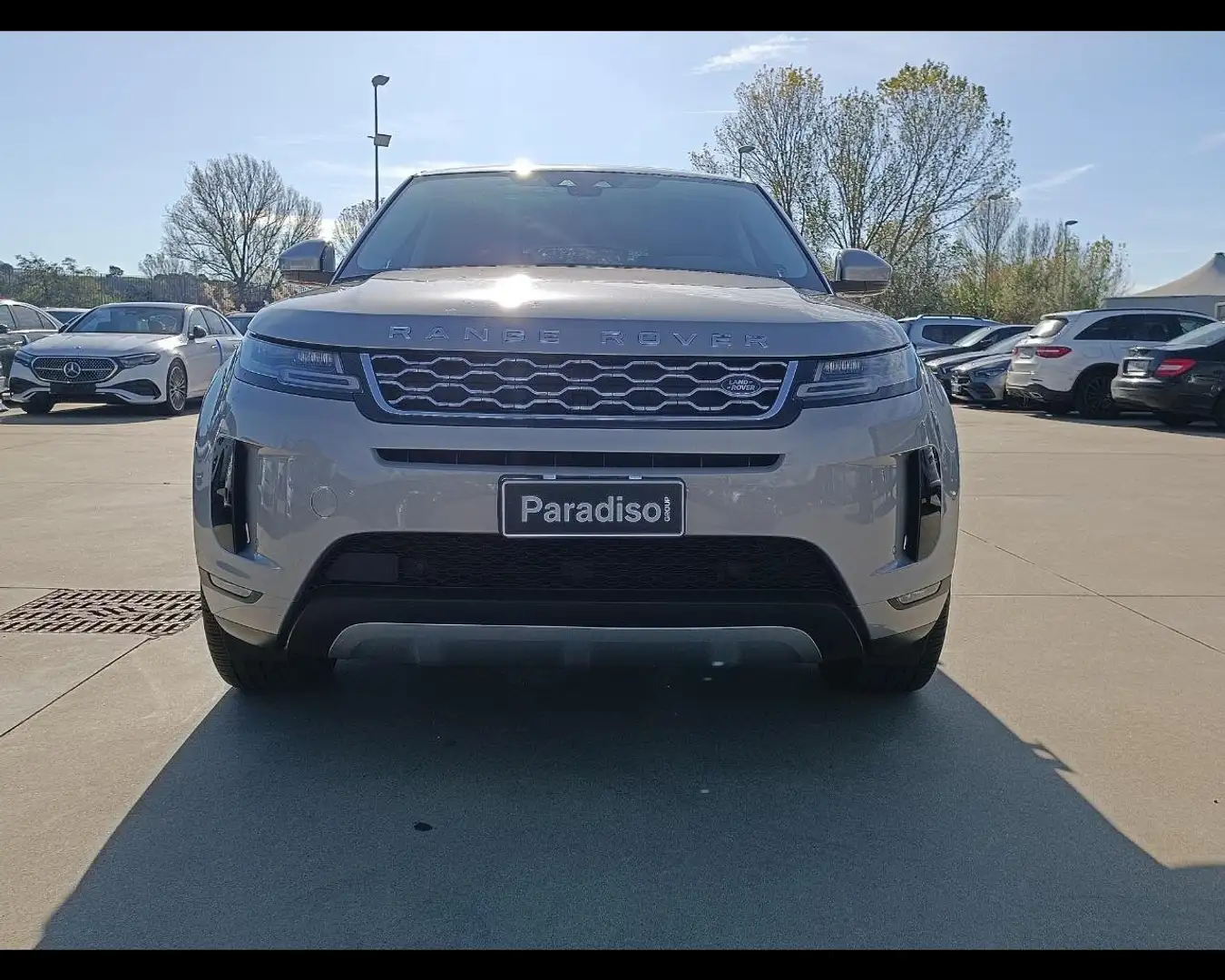 Land Rover Range Rover Evoque 2ª serie Range Rover Evoque 2.0D I4 180 CV AWD Au Bronze - 2