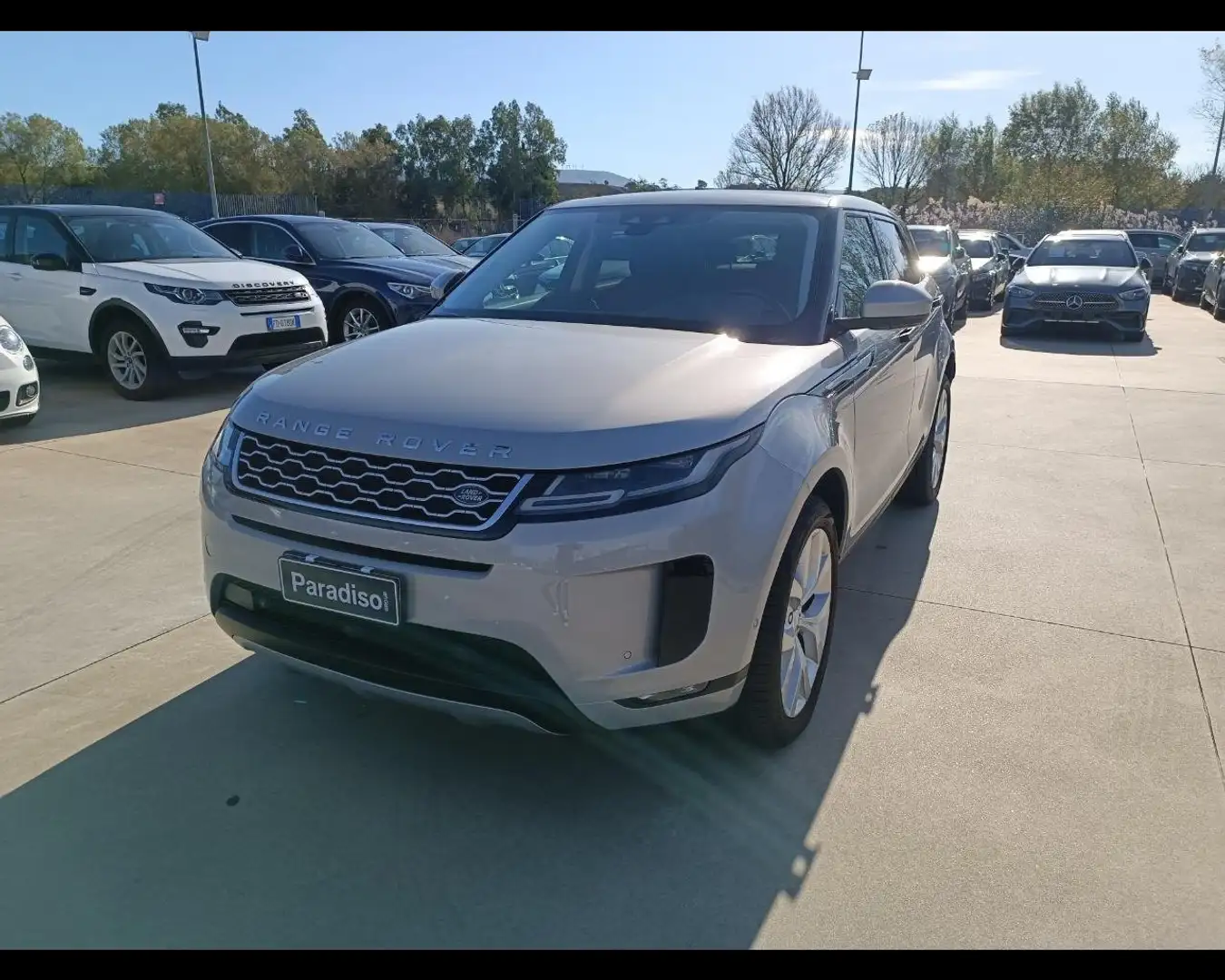 Land Rover Range Rover Evoque 2ª serie Range Rover Evoque 2.0D I4 180 CV AWD Au Bronze - 1