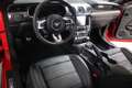 Ford Mustang GT Fastback 5.0L V8 *Premium-Paket* Rot - thumbnail 16