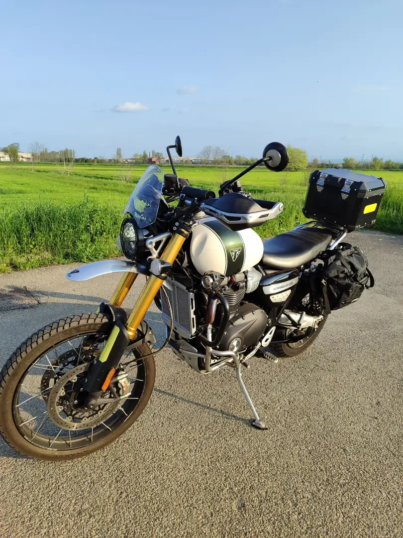 Triumph Scrambler Bianco - 1