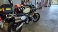 Triumph Scrambler Bianco - thumbnail 2