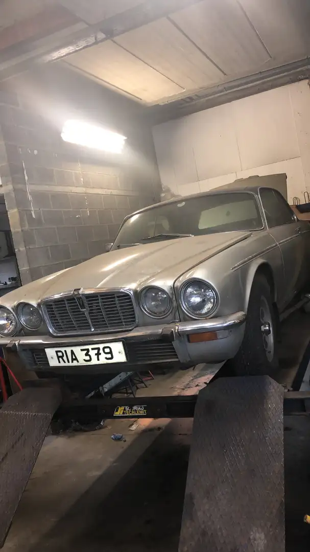 Jaguar XJ12 XJ12 C - 2