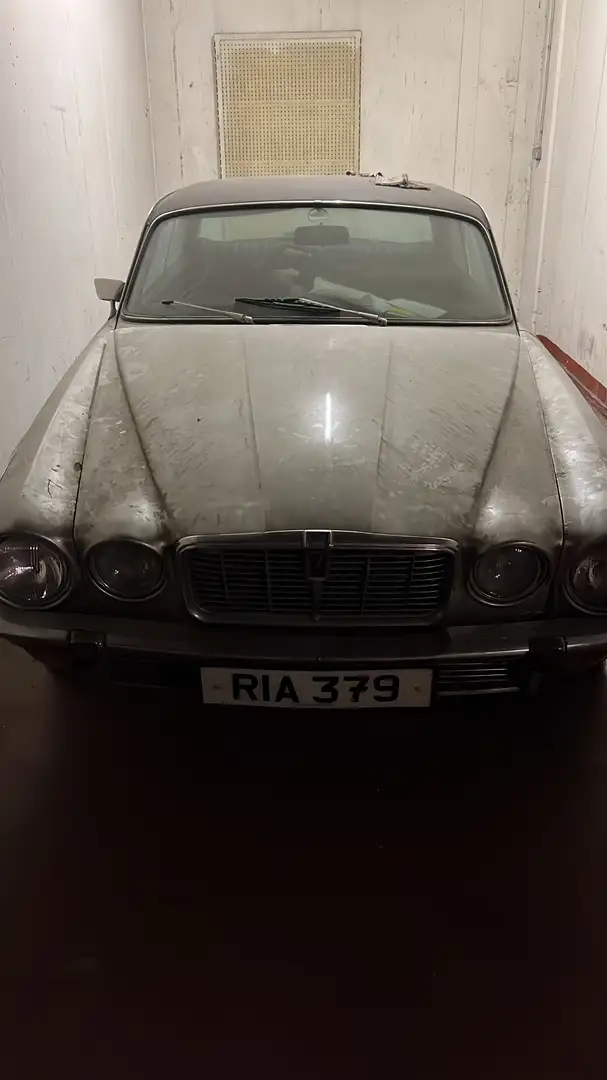 Jaguar XJ12 XJ12 C - 1