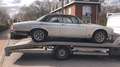 Jaguar XJ12 XJ12 C - thumbnail 3
