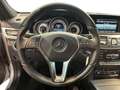 Mercedes-Benz E 250 Avantgarde +Comand+SpurH+PDC+LED+Luft+LM Silber - thumbnail 10