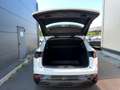 Renault Austral Evolution Klima*PDC*Kamera*Allwetter Weiß - thumbnail 5