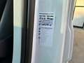 Volkswagen Crafter 35 2,0 TDI 140CV PL-TA SOSPENSIONI e PEDANA Bianco - thumbnail 14