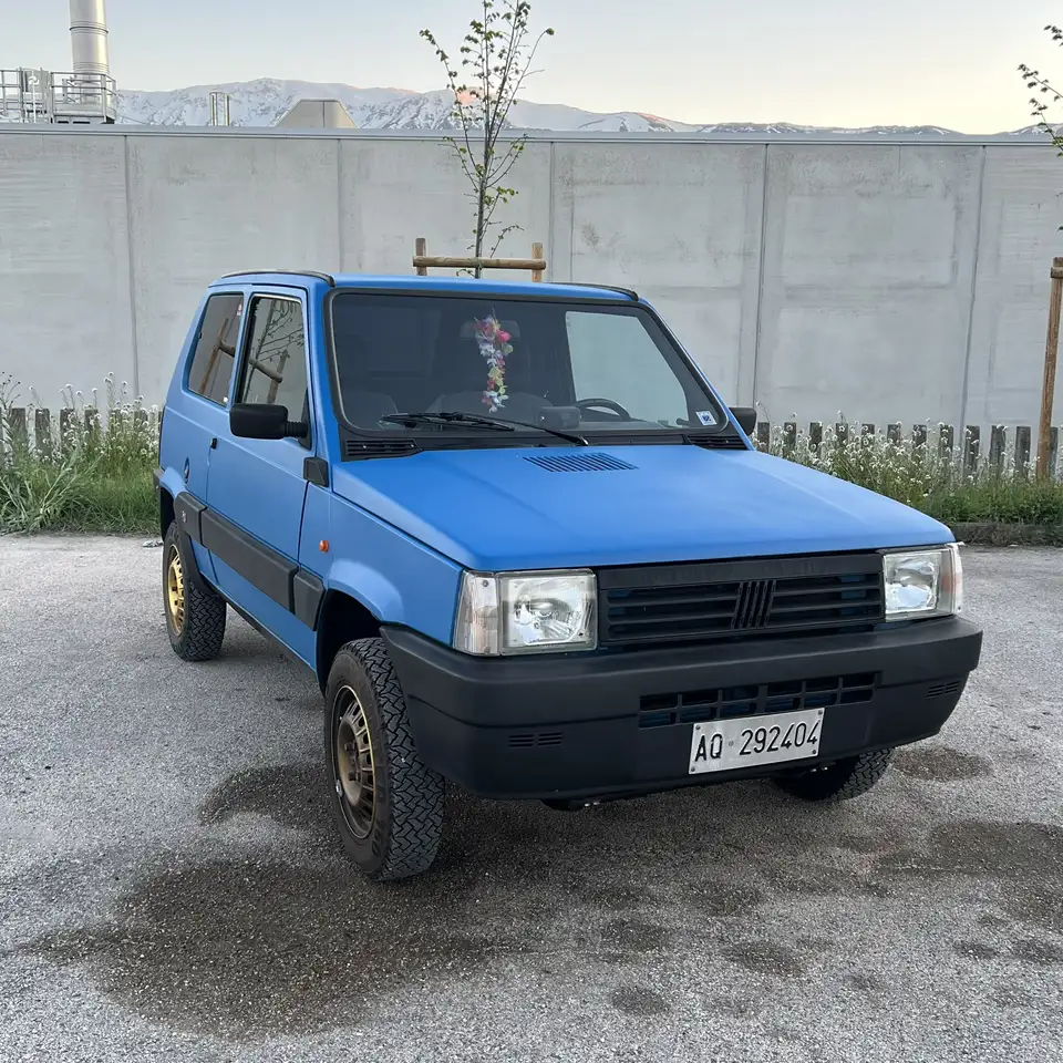 Fiat Panda 1.0 CLX 4x4 cat., foto 1
