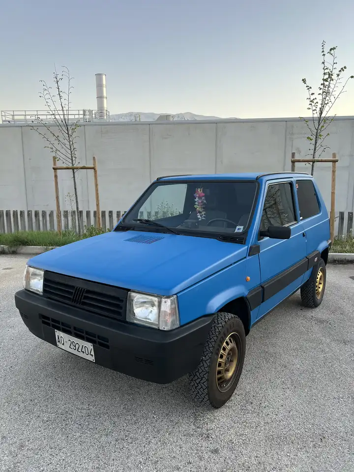 Fiat Panda 1.0 CLX 4x4 cat., foto 2