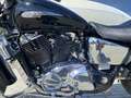Honda VT 1100 Honda Shadow VT1100 C3 - Flawless - Fully Serviced Negro - thumbnail 17