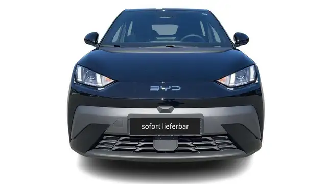 BYD Dolphin Surf Sofort Lieferbar Boost Alarm Alu DAB Keyless