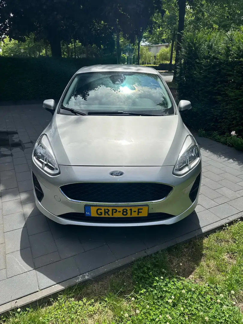 Ford Fiesta 1.0 EcoB. Titanium Grijs - 1