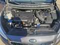 Kia Ceed SW / cee'd SW cee'd SW 1,6 CRDi ISG Gold 1-Hand Pickerl+Servi... Grau - thumbnail 13