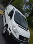 Fiat Scudo Scudo 10 L1H1 DPF SX Blanc - thumbnail 7