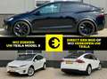 Tesla Model X Alle uitvoeringen gezocht | Verkoop uw Tesla Gris - thumbnail 1