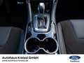 Ford Mondeo Turnier Hybrid ST-Line 2.0 Automatik Rot - thumbnail 16