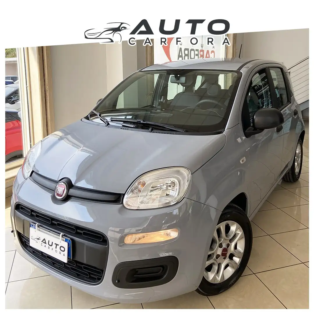 Fiat Panda 1.0 FireFly S&S Hybrid City Life Blu/Azzurro - 1