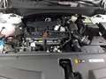 Kia Sportage 1.6T-GDi 2WD VISION KOMFORT-Paket Navi digitales C Wit - thumbnail 14