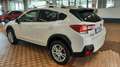 Subaru XV XV II 2017 1.6i Style lineartronic my19 Bianco - thumbnail 11