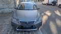 Lexus CT 200h CT200H 200h 136cv Pack Business (Covring gris mat, noir d'origine) Grau - thumbnail 2