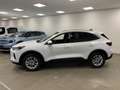 Ford Kuga 2.5 PHEV Titanium | Nieuw model | Adaptive Cruise Wit - thumbnail 2