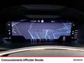 Skoda Karoq 1.0 tsi executive 115cv Bianco - thumbnail 11