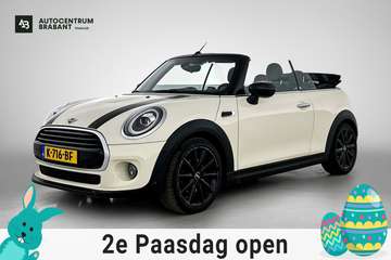 Mini 1.5 Chili Serious Business (Dealer OndH, Carp