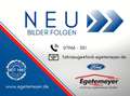 Ford EcoSport Titanium AUTOMATIK NAVI CD PDC 8 FACH Gris - thumbnail 1