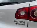 Volkswagen Tiguan Sport & Style 4Motion *AHK*TÜV*170 PS*PDC Weiß - thumbnail 11