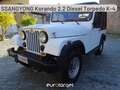 Jeep Wrangler 4.0 cat Hardtop Limited Wit - thumbnail 1
