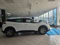 Peugeot 2008 2008 II 2020 1.2 puretech Allure Weiß - thumbnail 5