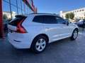 Volvo XC60 Todoterreno Automático de 5 Puertas Blanco - thumbnail 6