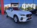 Volvo XC60 Todoterreno Automático de 5 Puertas Blanco - thumbnail 4