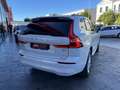 Volvo XC60 Todoterreno Automático de 5 Puertas Blanco - thumbnail 7