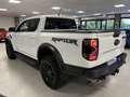 Ford Ranger Raptor 3.0 ecoboost V6 292cv auto IVA COMPRESA Bianco - thumbnail 6