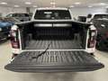 Ford Ranger Raptor 3.0 ecoboost V6 292cv auto IVA COMPRESA Bianco - thumbnail 15