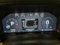 Ford Ranger Raptor 3.0 ecoboost V6 292cv auto IVA COMPRESA Bianco - thumbnail 8